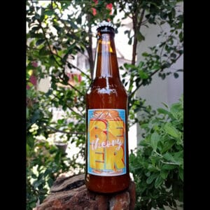 Beer Theory - Spiced Honey Weizen #2