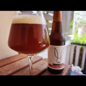 Brew rabbit - amber 1